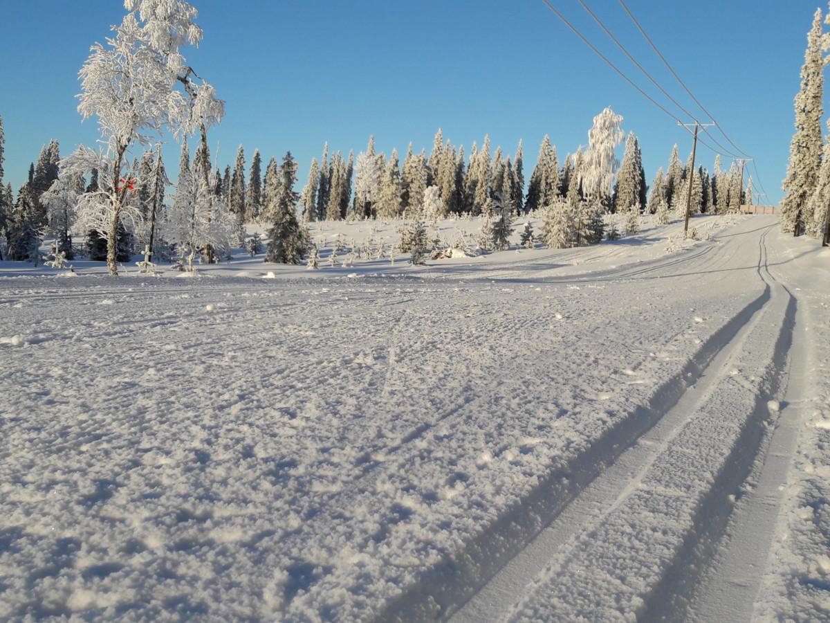 Posiolla on mittava latuverkosto hyvin hoidettuja latuja.