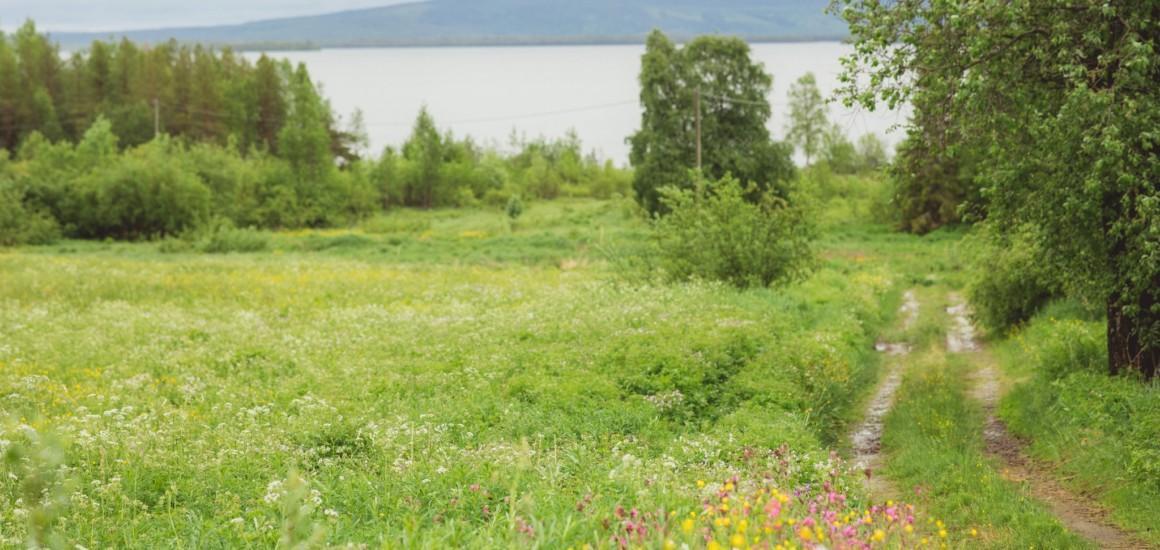 Kesäinen niitty, taustalla järvi ja vaara.