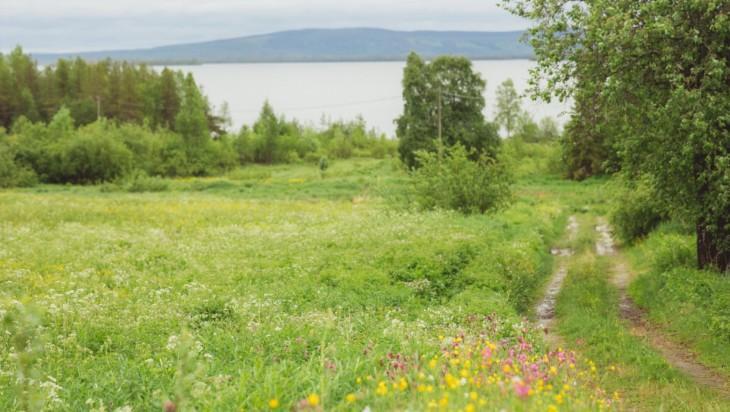 Kesäinen niitty, taustalla järvi ja vaara.