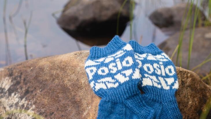 Posio villasukat kiven päällä
